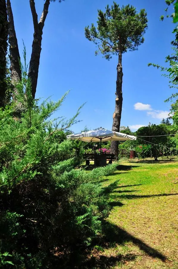 Bed & Breakfast B&B Casa Di Antonio_Etna Vacanze Trecastagni